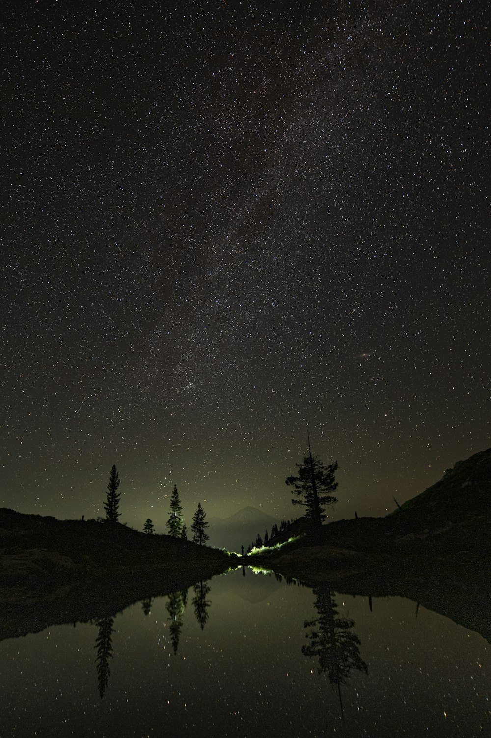 silhouette of trees under starry night