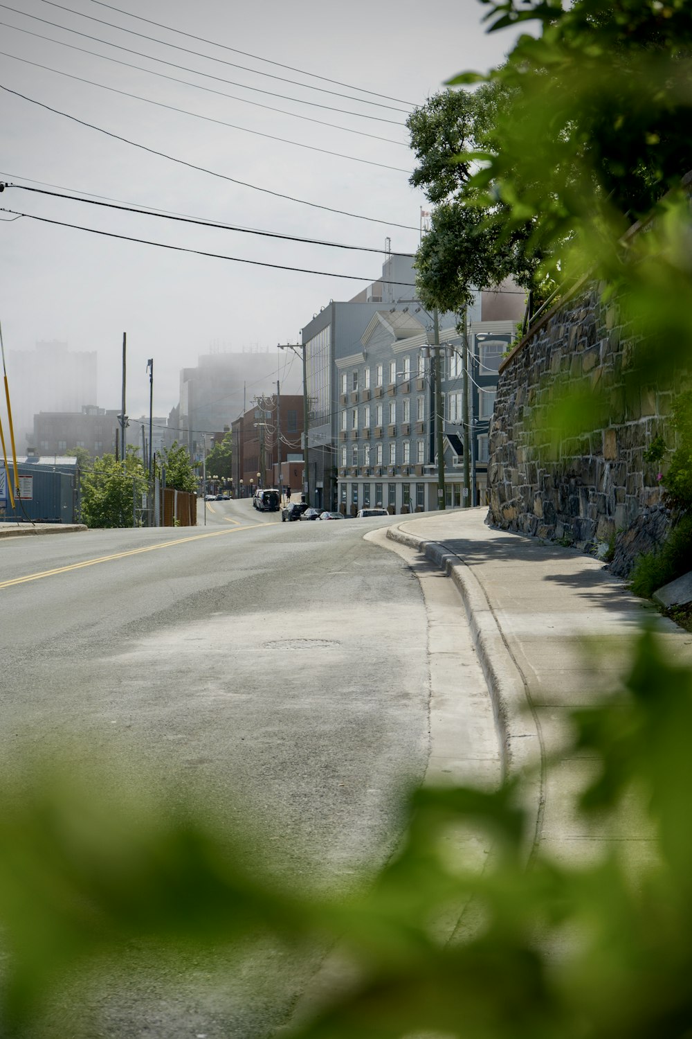 cars parked on side of the road