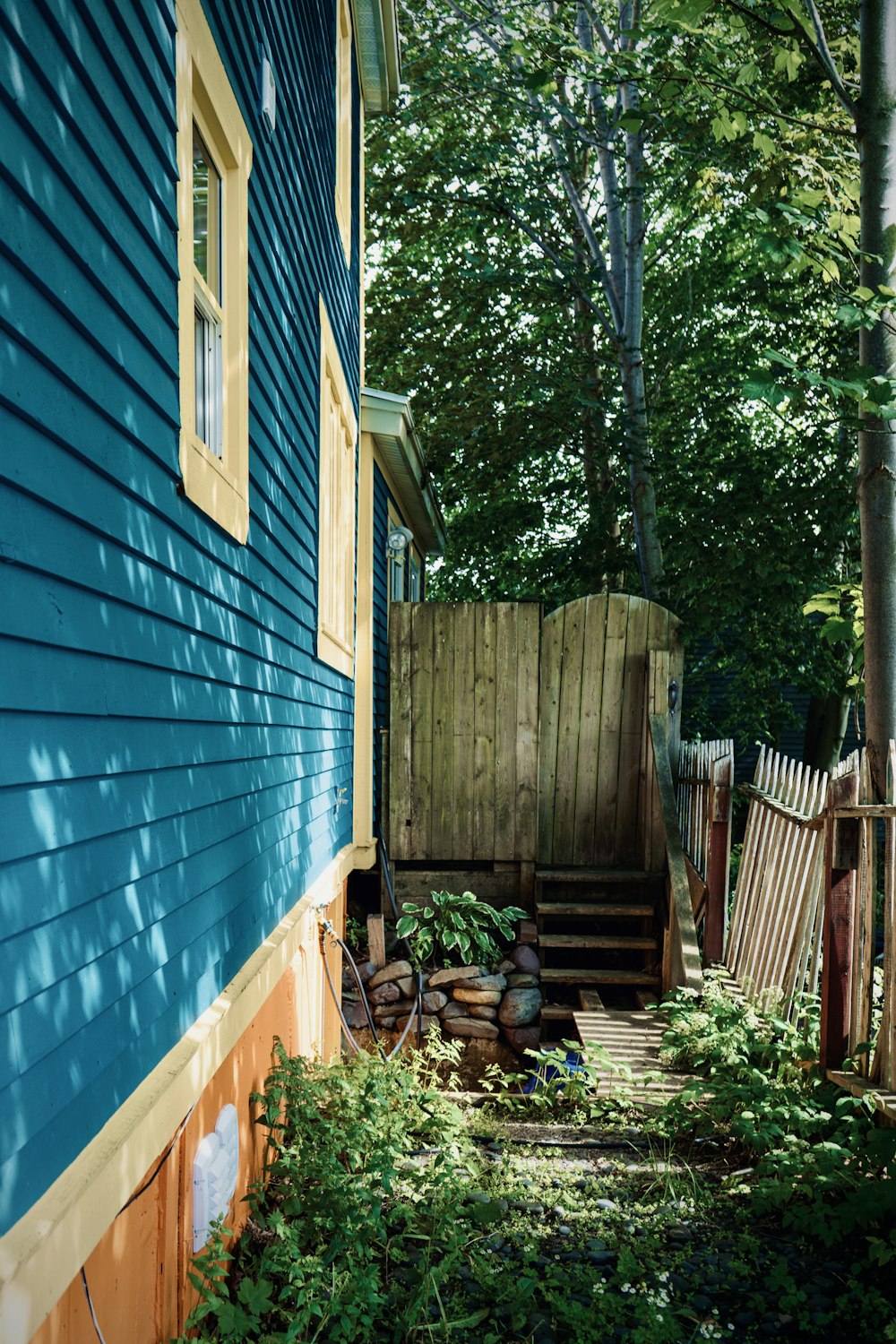 green wooden fence near green tree during daytime