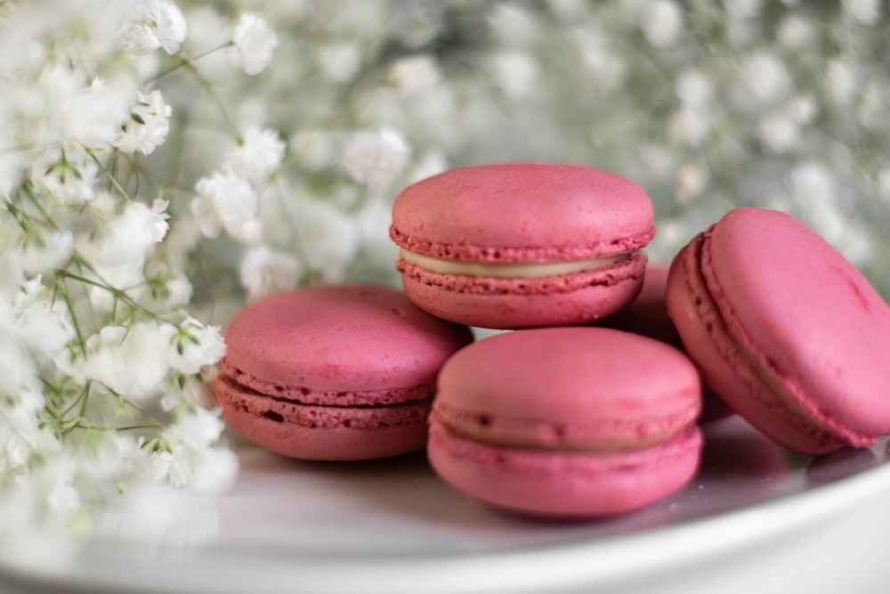 pink macaroons on white ceramic plate