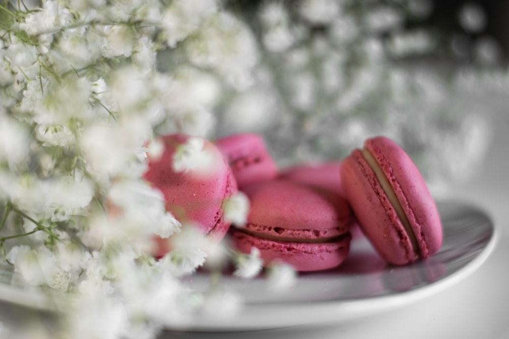 red and white heart shaped candies on white ceramic plate