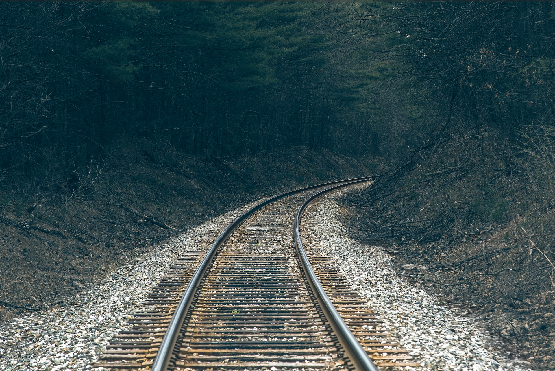 train rail near green trees during daytime