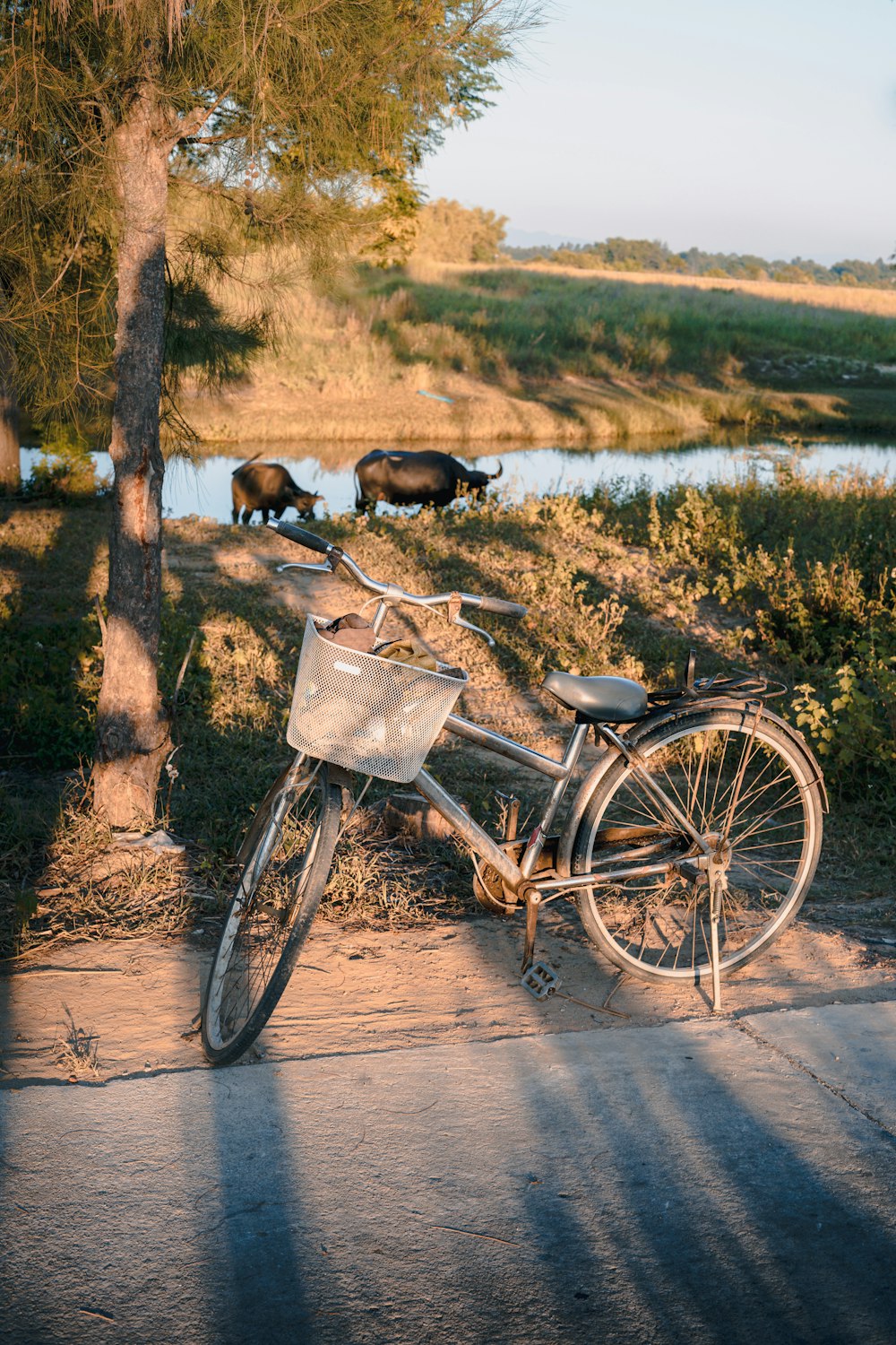 black bicycle on brown dirt road during daytime