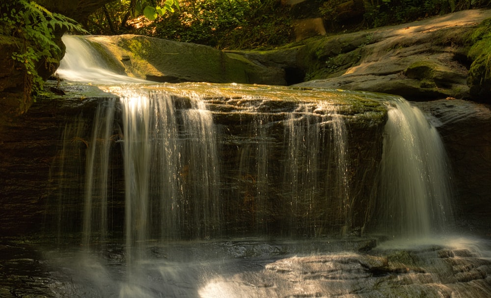 L’eau tombe au milieu des arbres verts