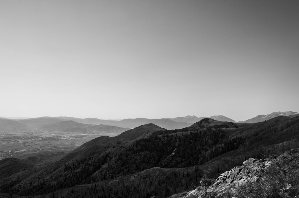 grayscale photo of mountains and trees