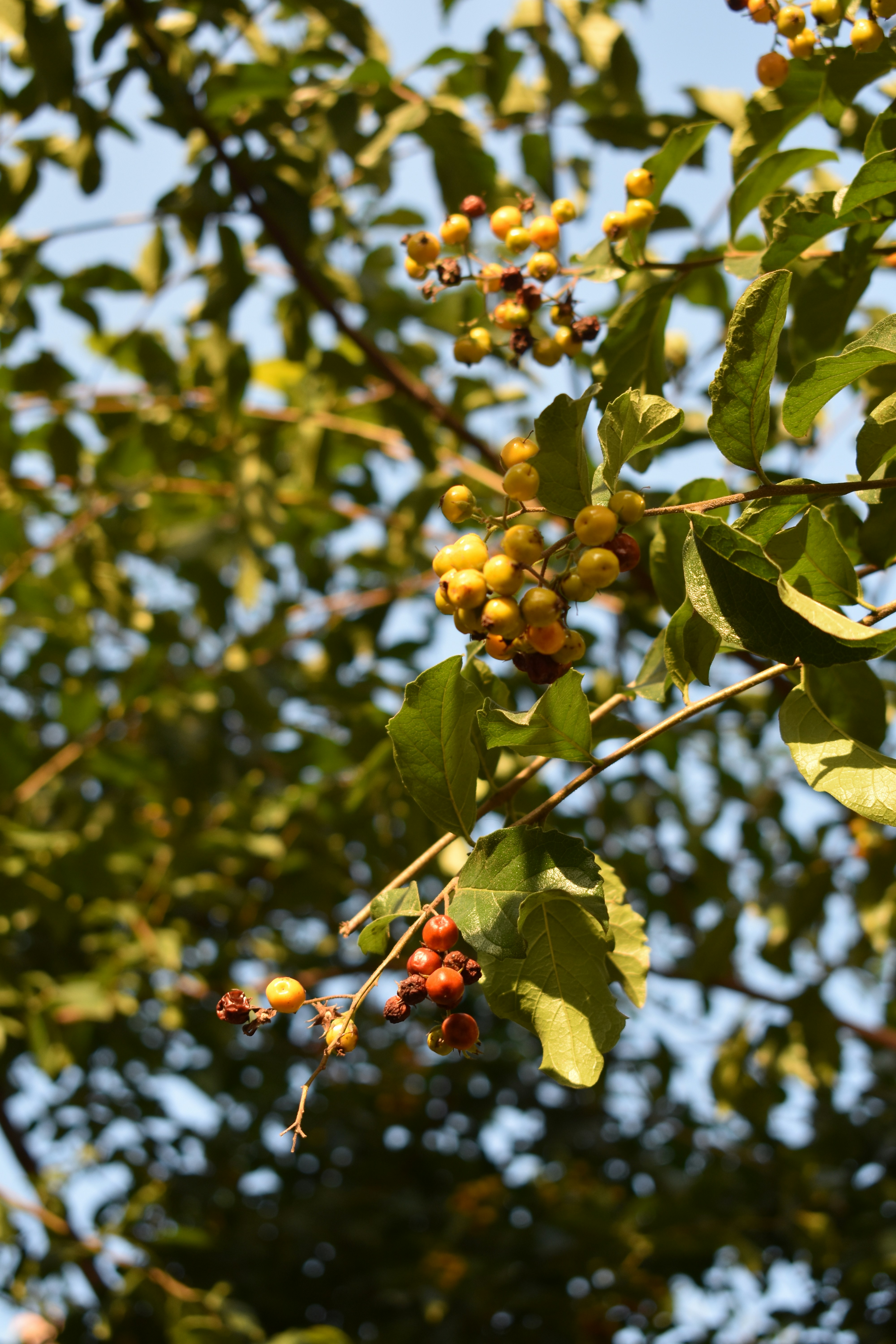 Photo by ivan_monroy