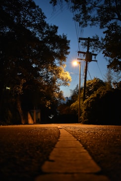 trees near basketball hoop during night time