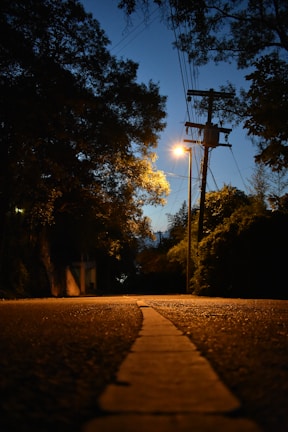 trees near basketball hoop during night time