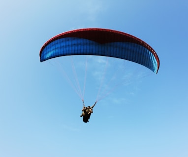 person in black and white parachute