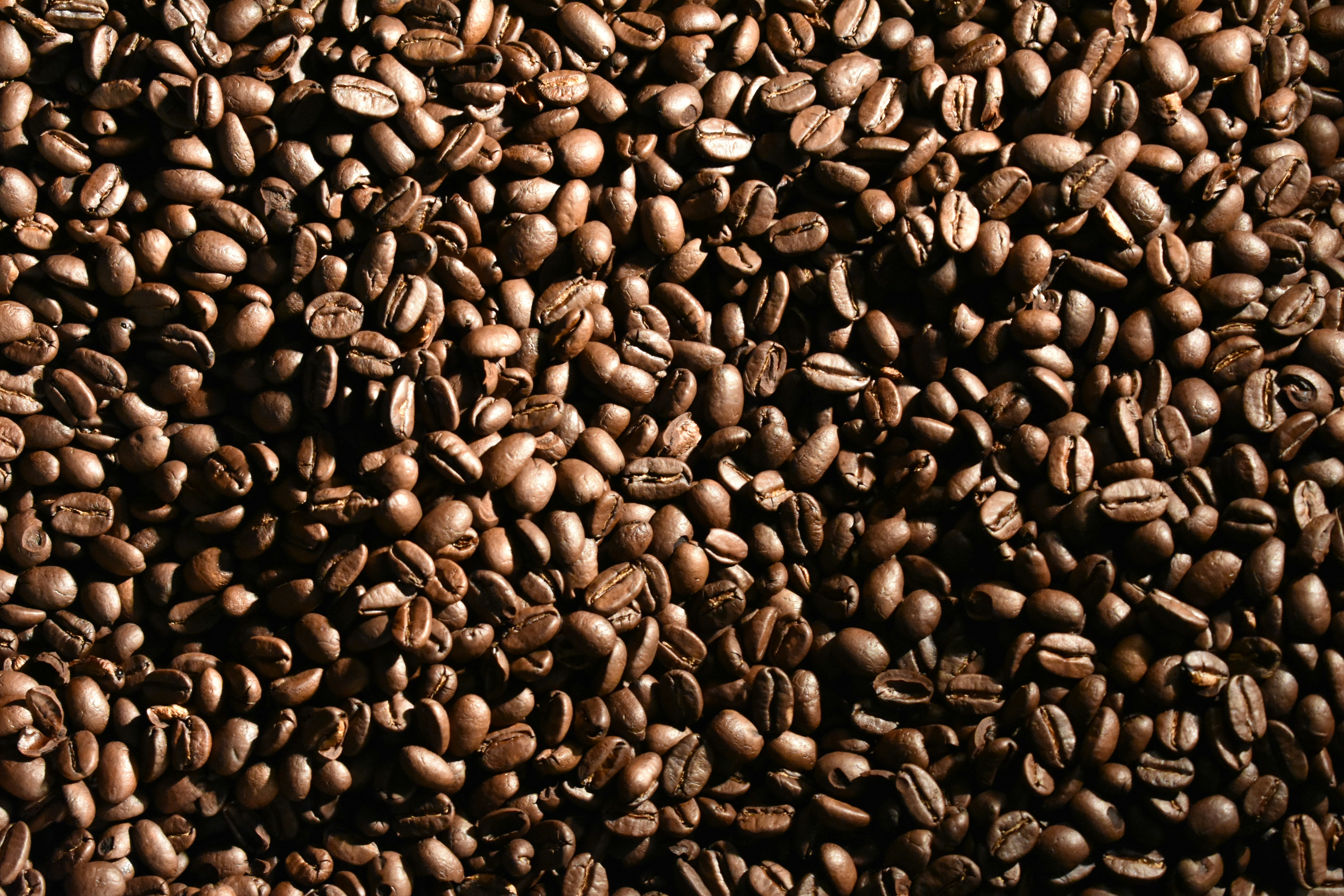 Huatusco Arabica