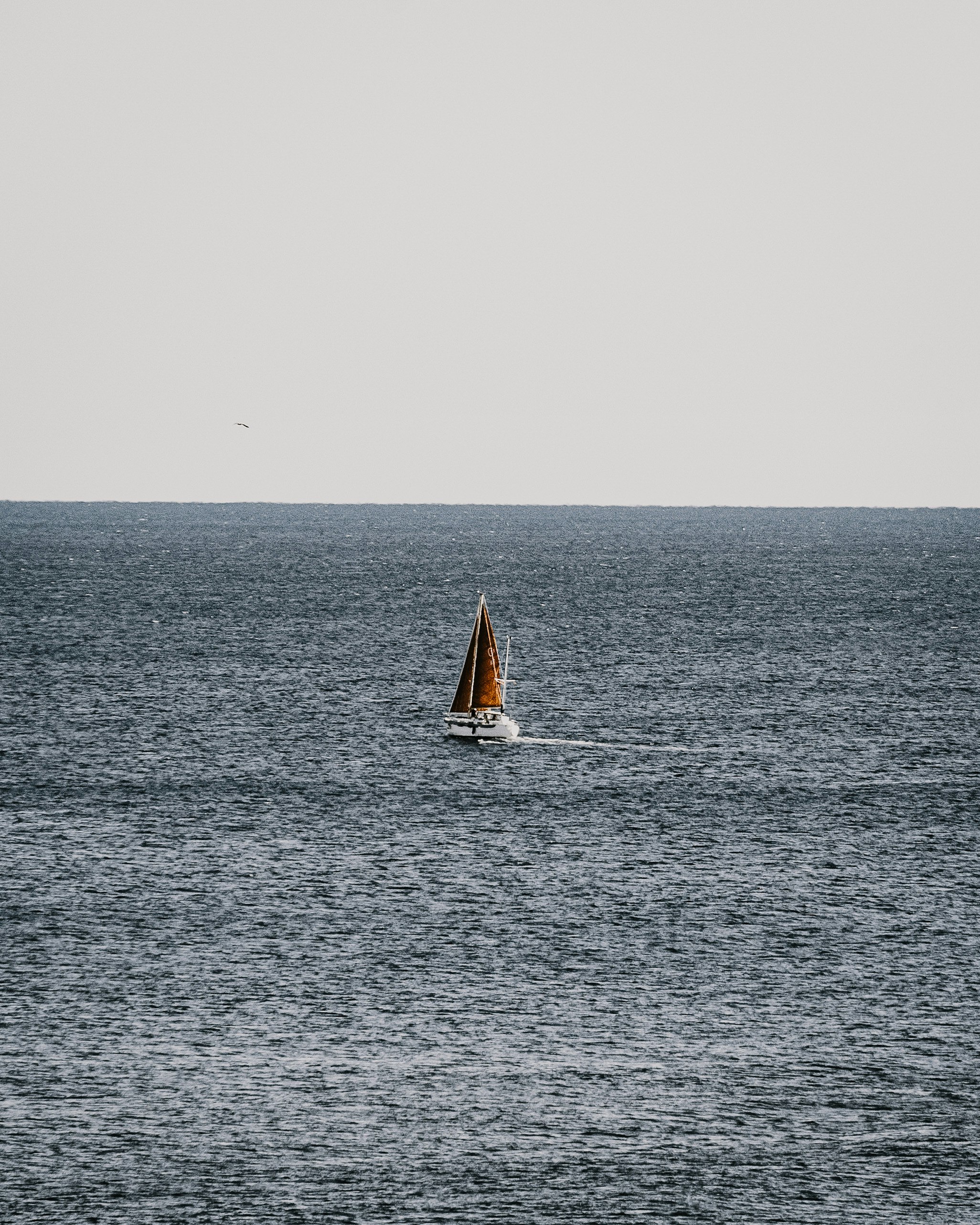 sailboat on sea during daytime