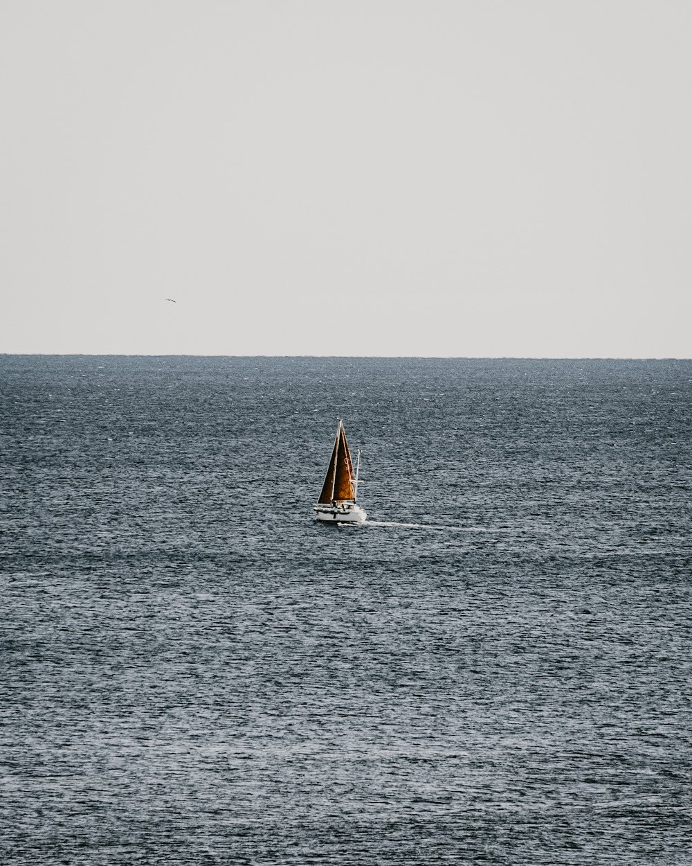 sailboat on sea during daytime