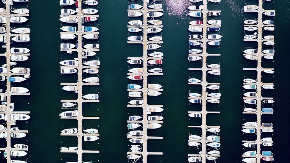 white and blue boat on water