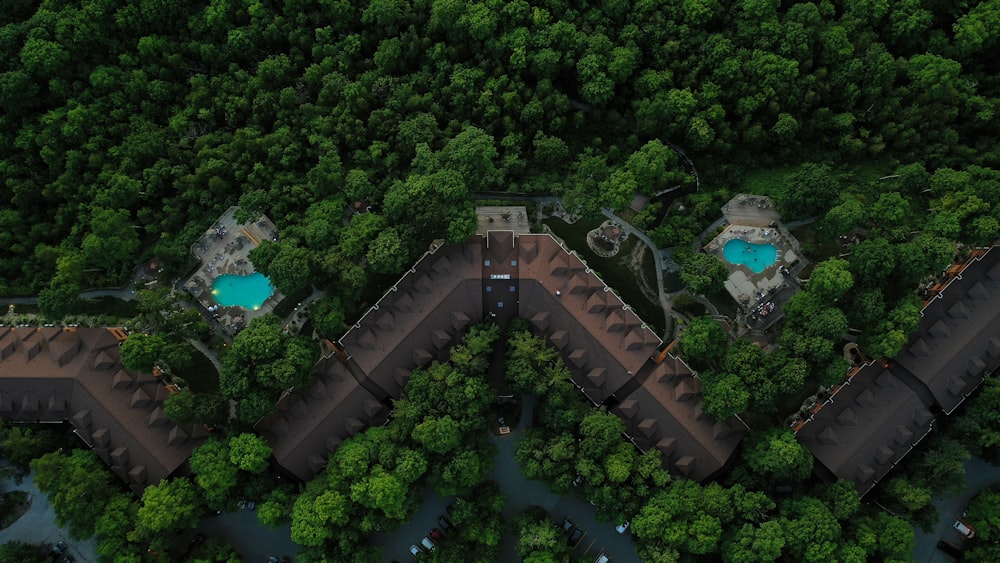 aerial view of green trees and green plants