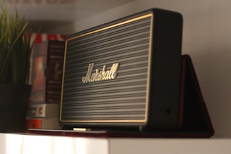 A karaoke speaker with a microphone placed on a cozy living room shelf next to plants.