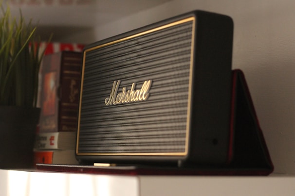 A karaoke speaker with a microphone placed on a cozy living room shelf next to plants.