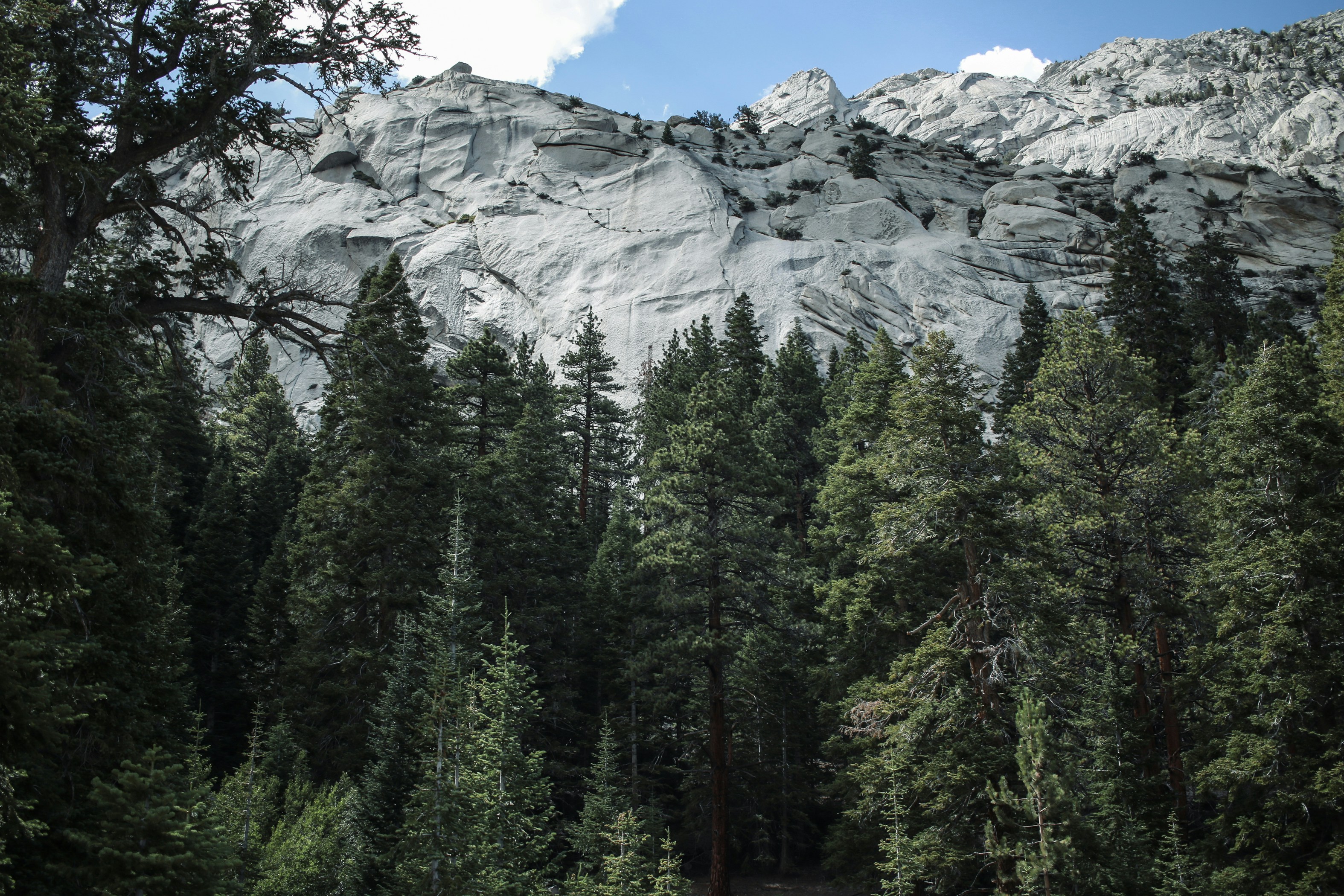 Photo by camilleeeoo