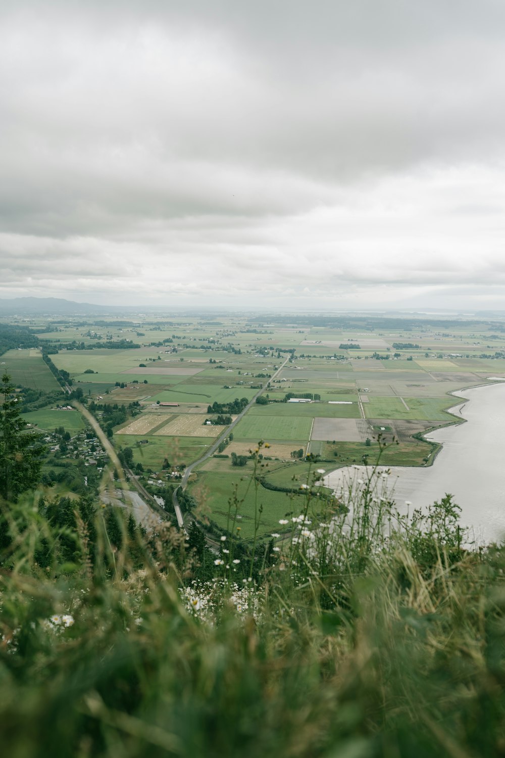 Grünes Grasfeld in Seenähe tagsüber unter weißen Wolken