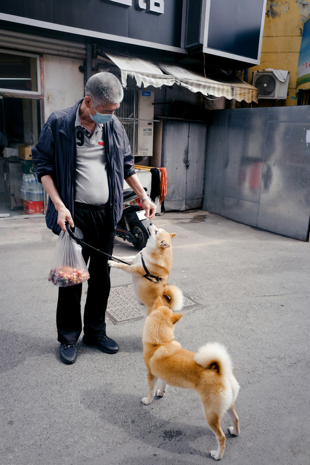 灰色のドレスシャツと黒いズボンを着た男が茶色の短いコートの犬を抱いている