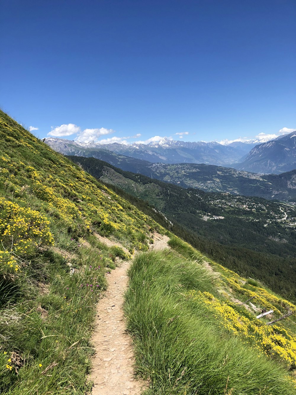 green grass field on mountain under blue sky during daytime