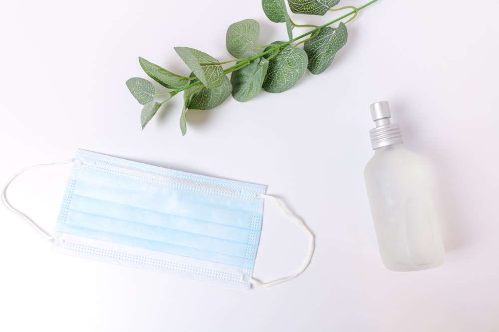 green leaves beside white bottle