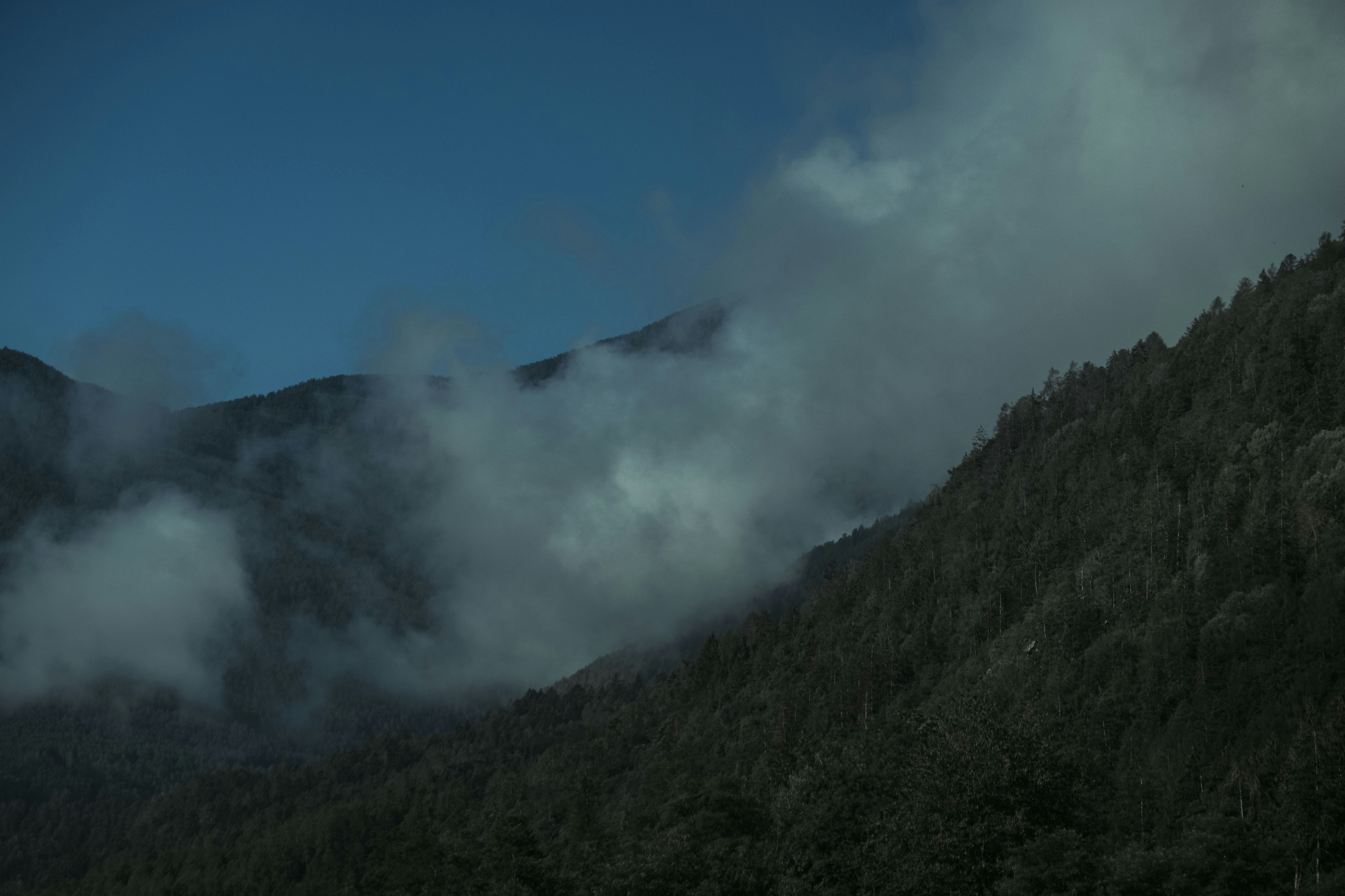 Photo by moritz_photography