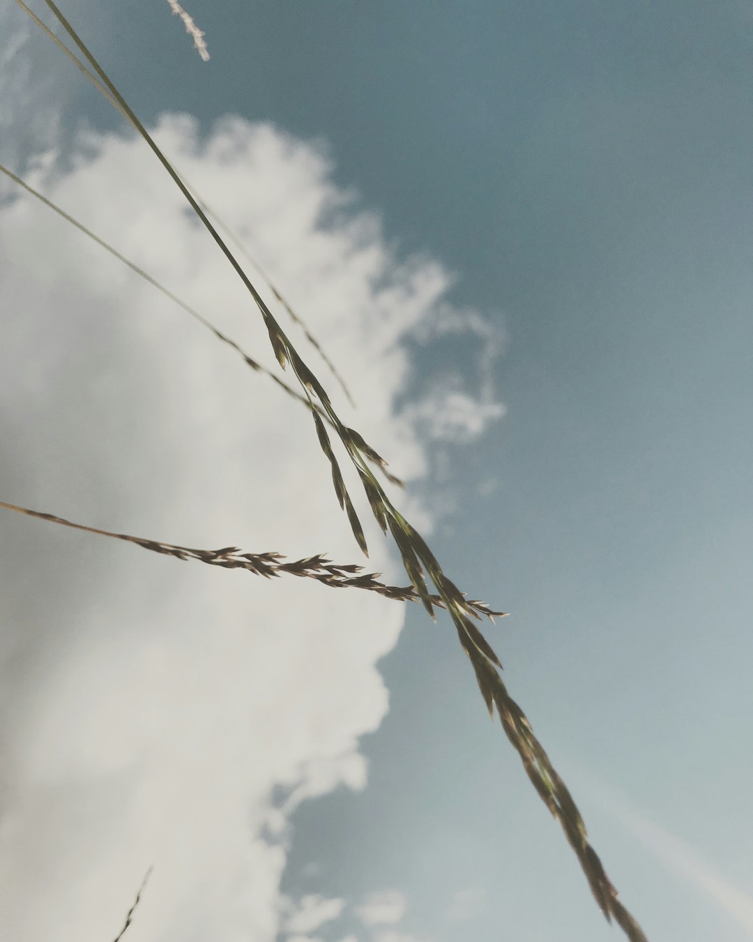 brown rope under blue sky during daytime