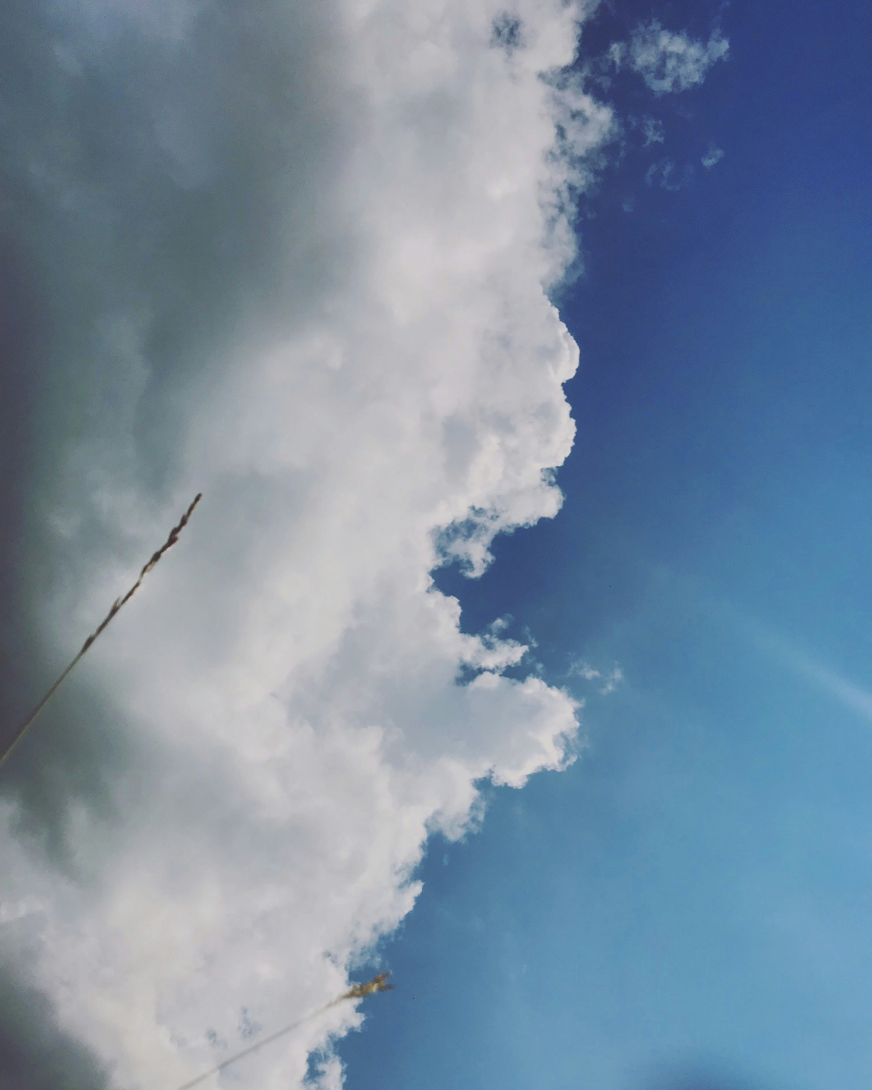 Photo by dasdasha2015