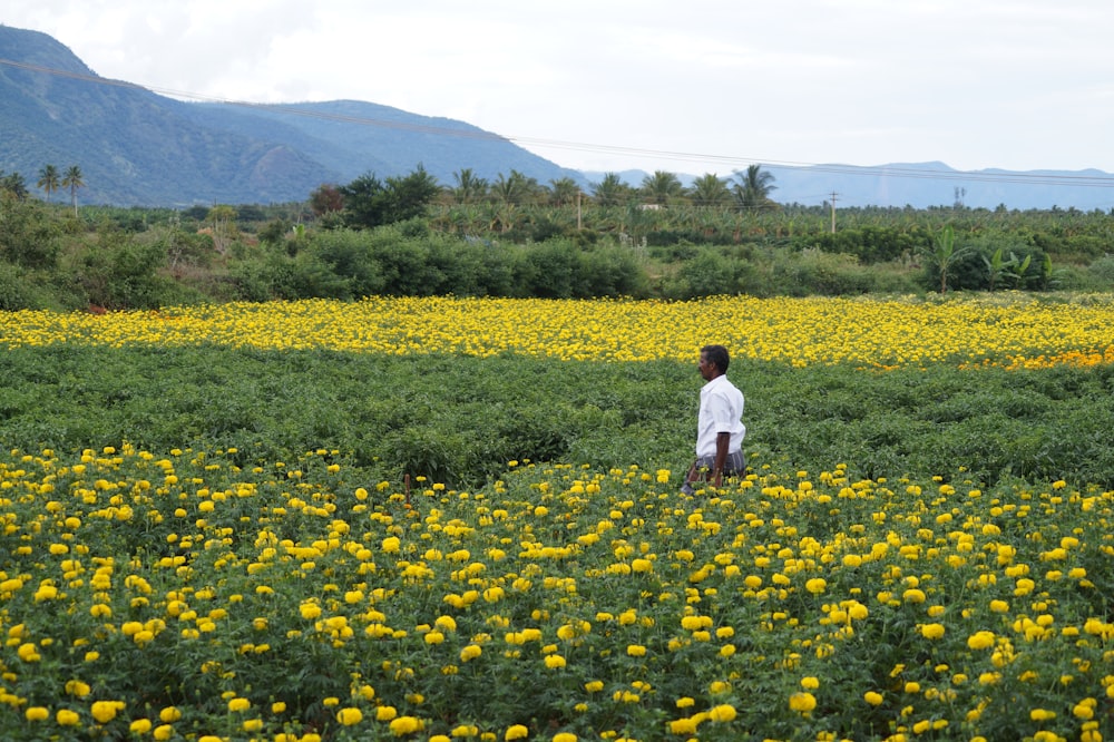 Mujer en vestido blanco de pie en el campo de flores amarillas durante el día