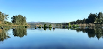 A serene landscape showcasing nature's beauty, symbolizing the importance of sustainability in our lives.