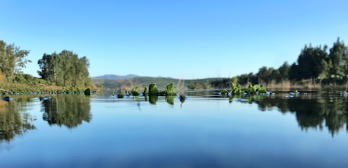 A serene landscape symbolizing personal growth and reflection.