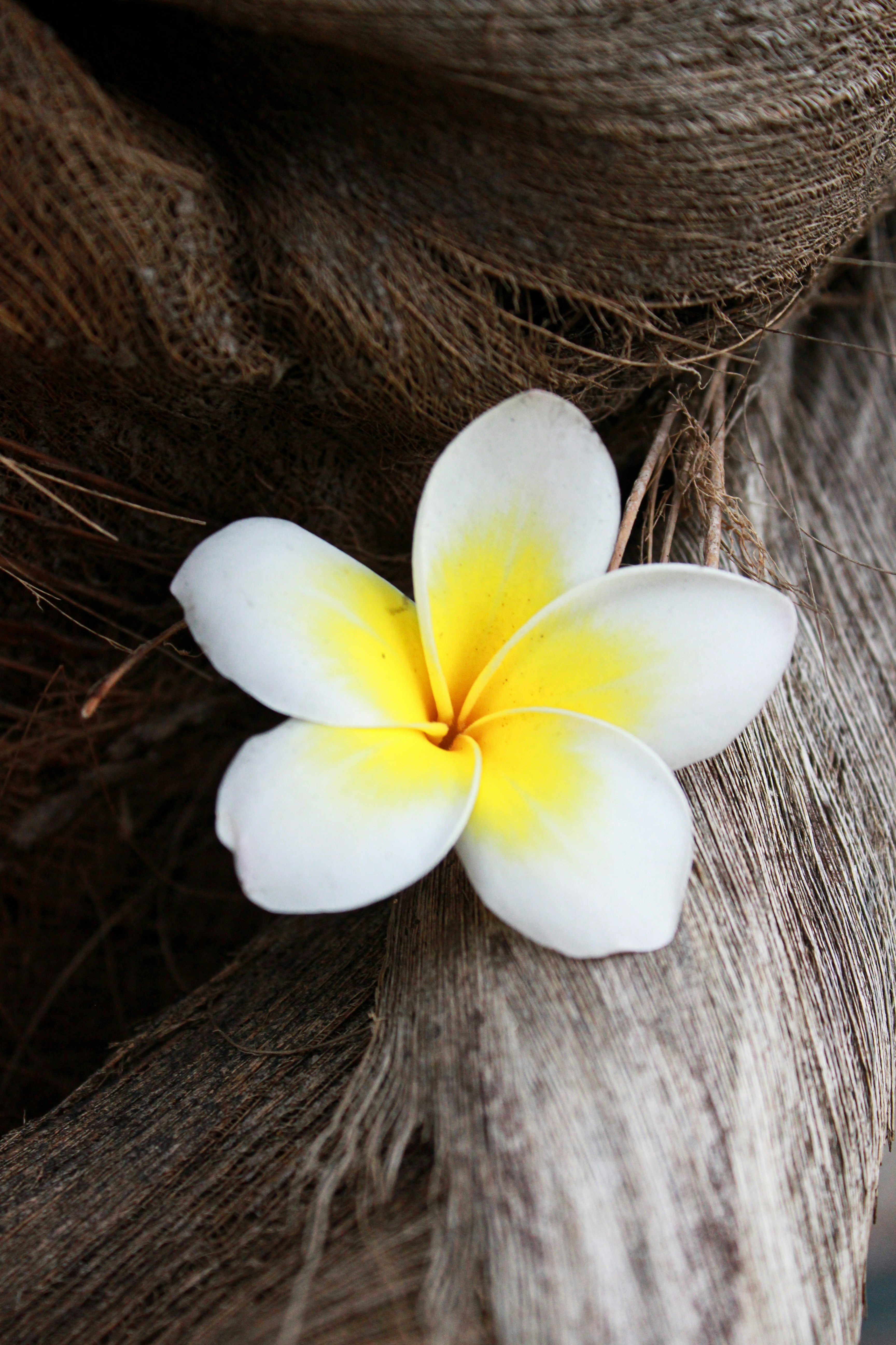 Photo by aleksandra_ua