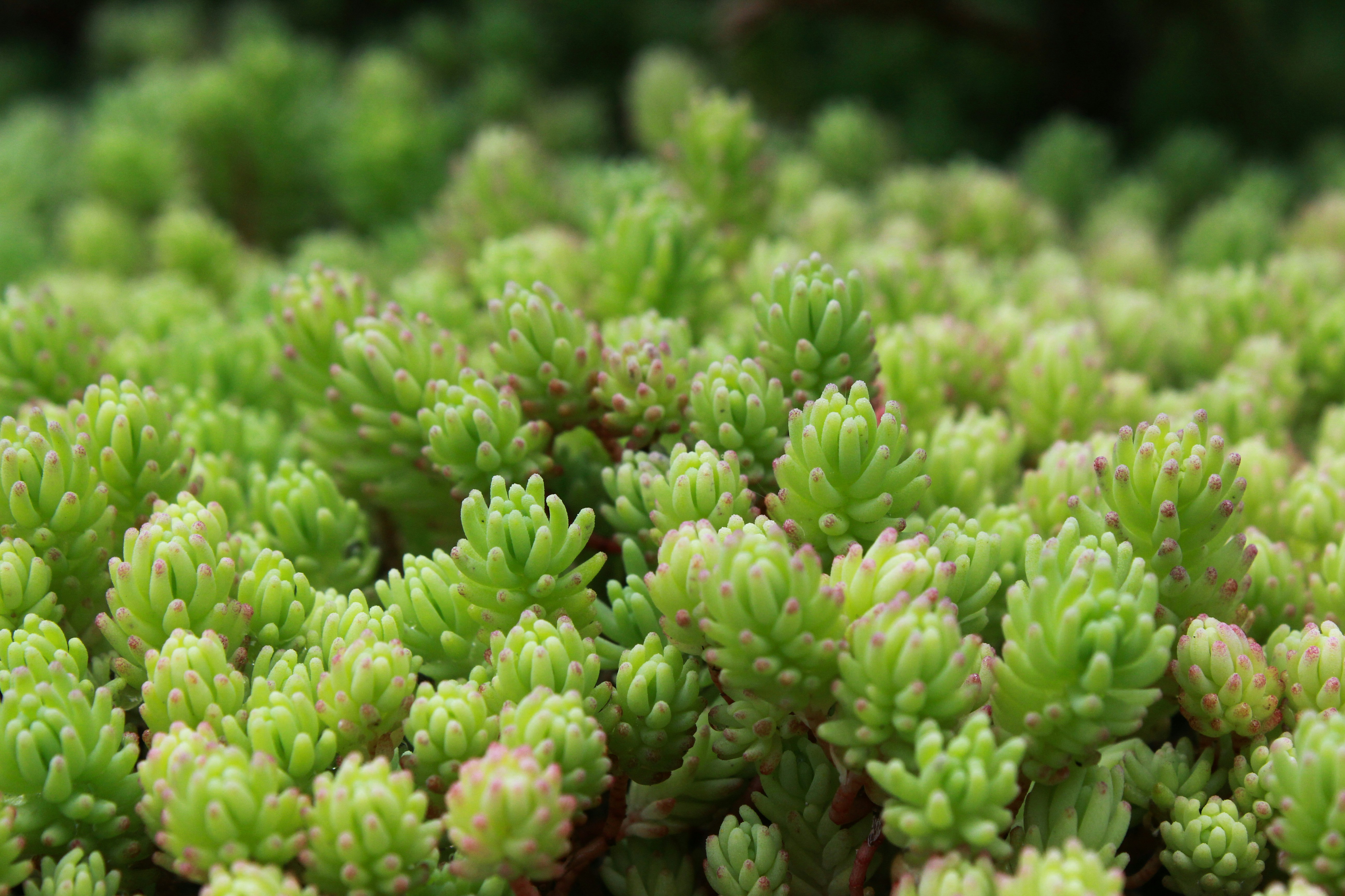 Photo by aleksandra_ua