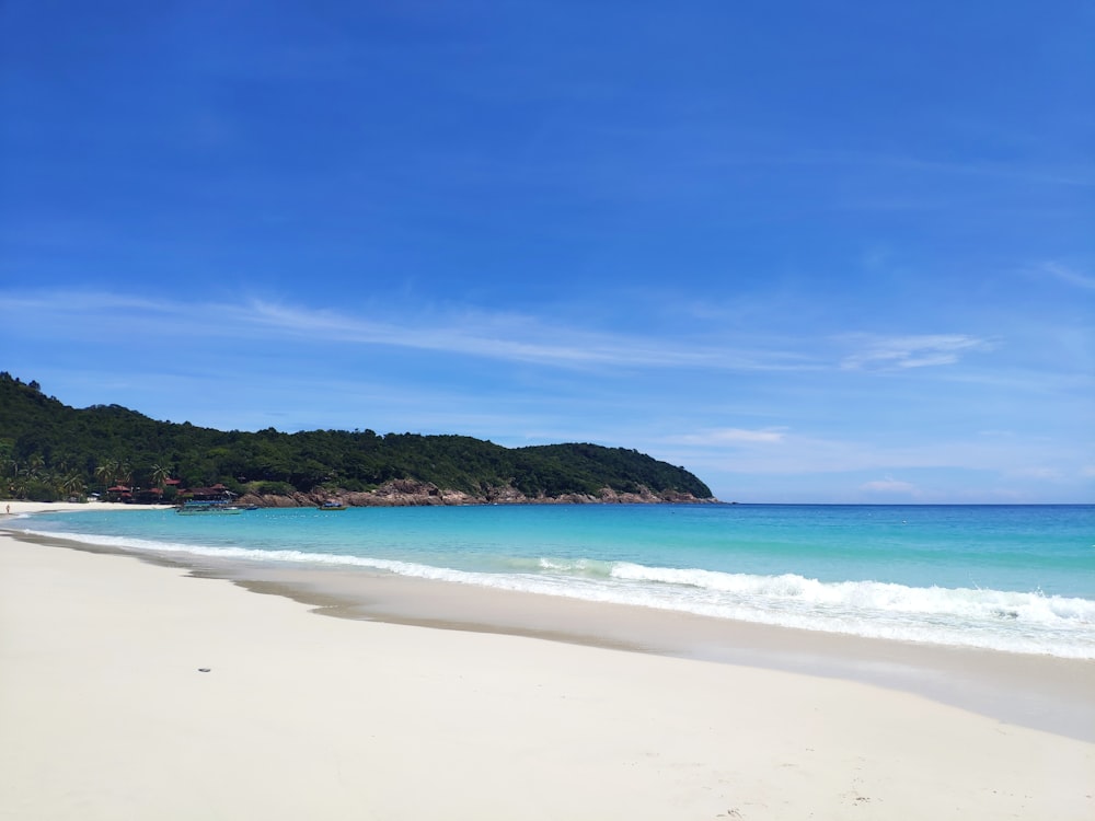 white sand beach with green trees and blue sky