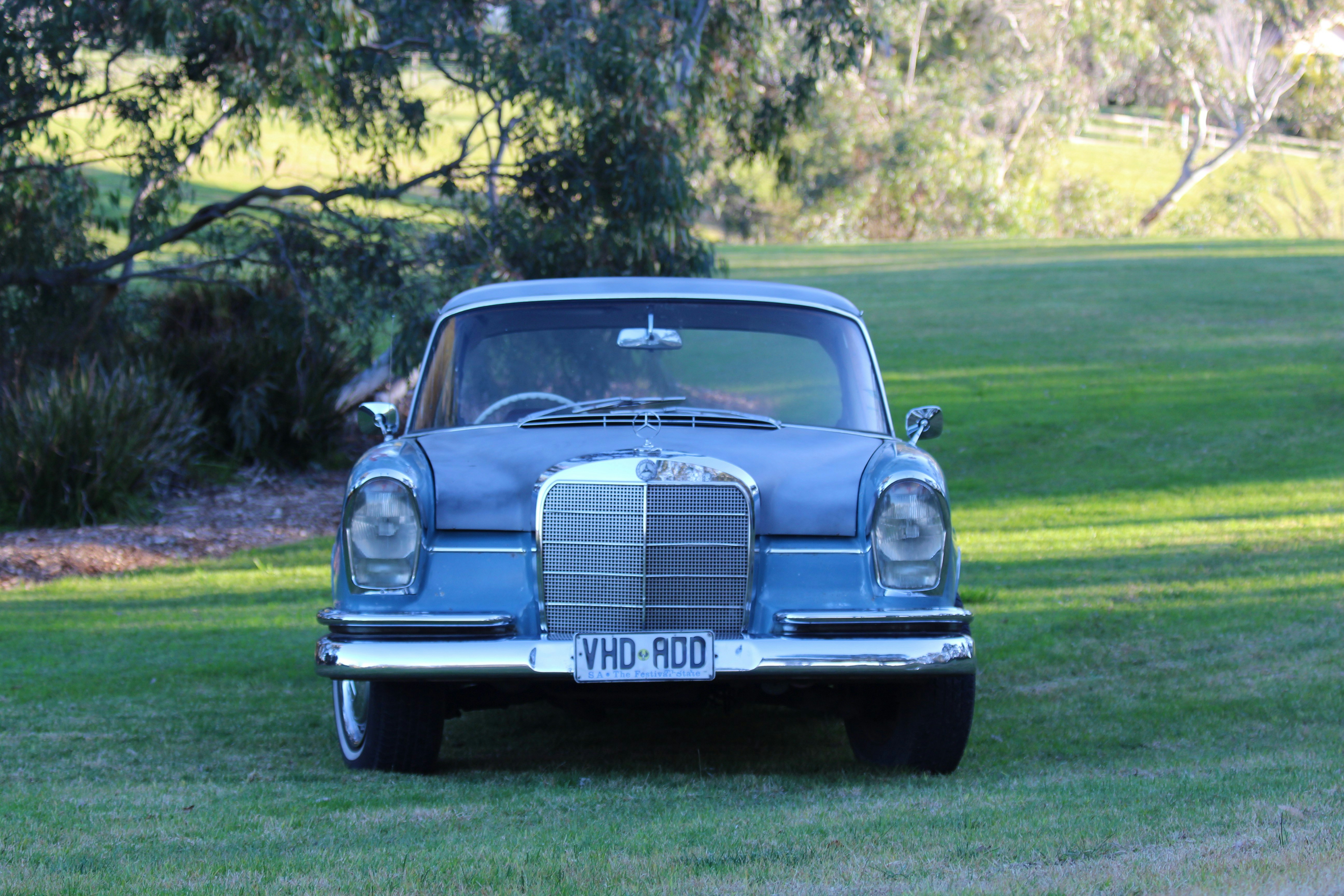 Voiture classique bleue sur un champ d’herbe verte pendant la journée