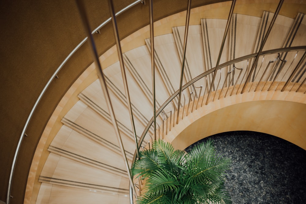 brown wooden spiral staircase with green plants