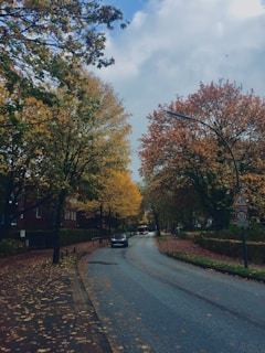 The dcc transit bus driving through a quiet neighborhood with autumn leaves on the ground.