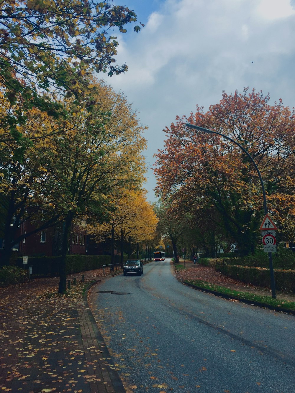 gray concrete road between trees under cloudy sky during daytime