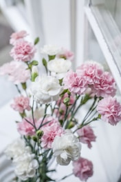 pink and white flowers in tilt shift lens