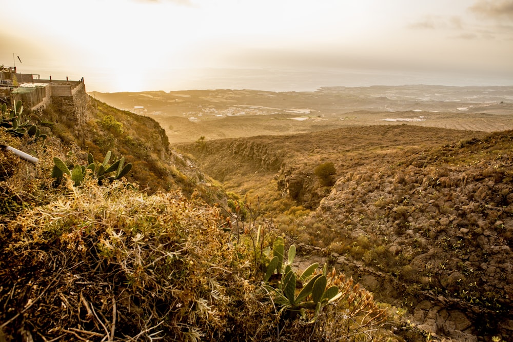 green grass on brown mountain during daytime