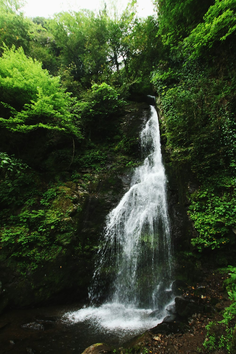 waterfalls in the middle of green trees