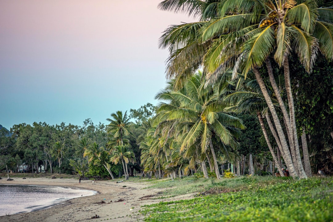 photo of Seaforth QLD Tropics near Cape Hillsborough National Park