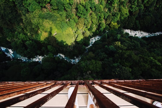 brown wooden bridge over green trees during daytime in Kutaisi Georgia