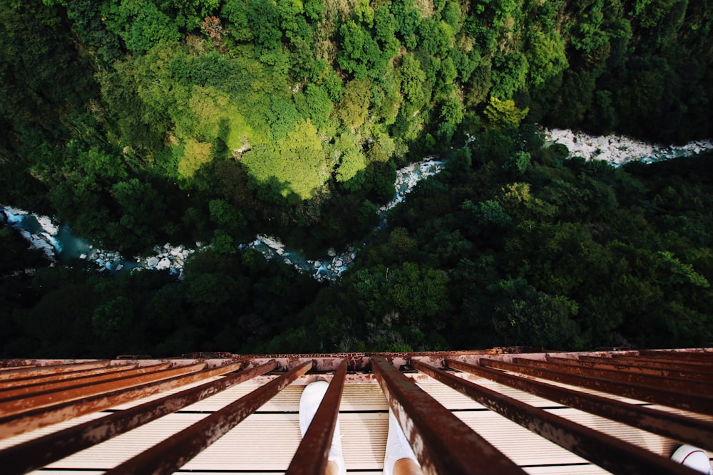 brown wooden bridge over green trees during daytime