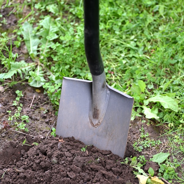 black and brown shovel on green grass