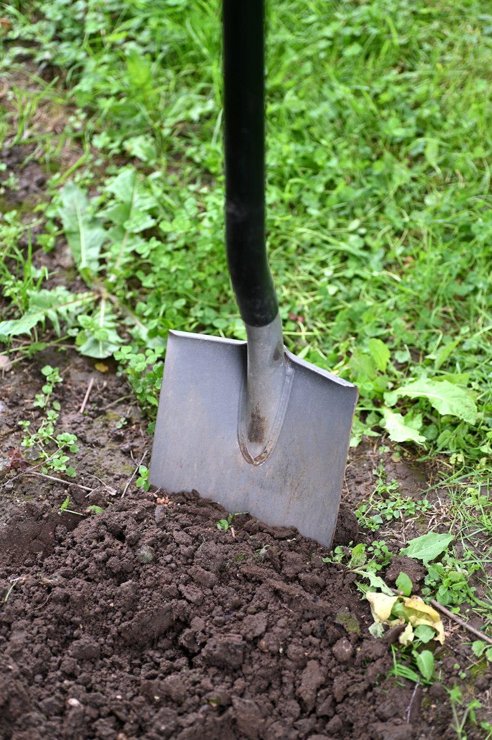 schwarz-braune Schaufel auf grünem Gras