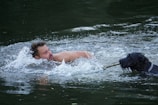 A person is swimming in a body of water while holding a stick. A black dog is also in the water, grasping the other end of the stick with its mouth. The water splashes around them, suggesting movement.