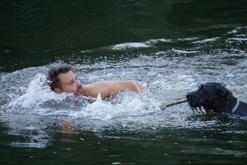 A person is swimming in a body of water while holding a stick. A black dog is also in the water, grasping the other end of the stick with its mouth. The water splashes around them, suggesting movement.