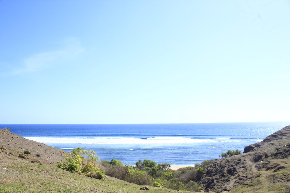 green trees near blue sea under blue sky during daytime