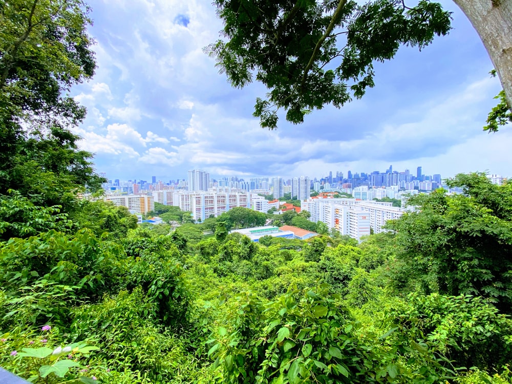 green trees near white concrete building during daytime